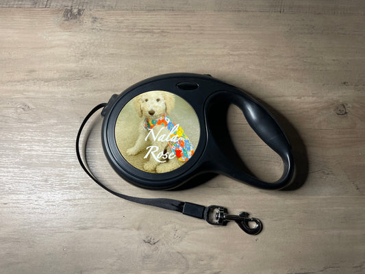 Retractable Pet Leash